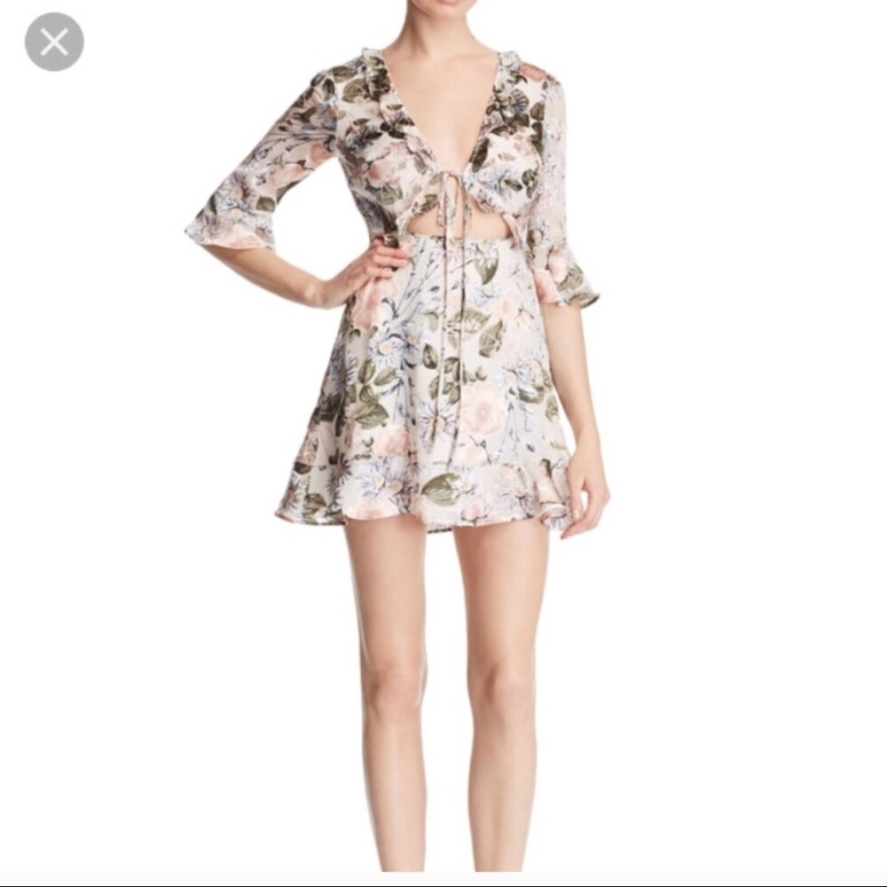 For Love and Lemons Dress